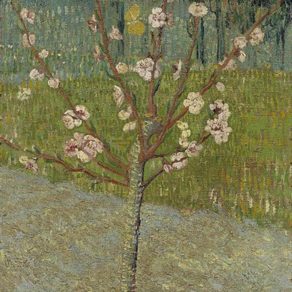 Almond Tree In Blossom By Vincent Van Gogh Vincent Van Gogh Jben Arts